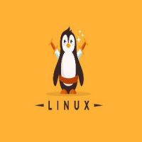Managing Performance in Linux