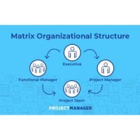 Identify common project team organizational structures