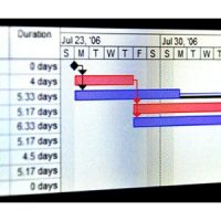 Execute and develop project schedules