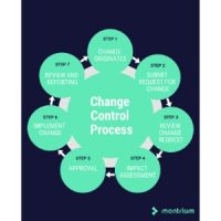 Use the following change control process within the context of a project