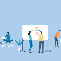 Assessments and Audits