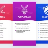 Purple Team (Red Team Interface with Blue Team)