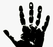 Palm Print