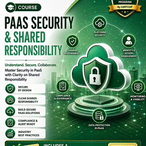 paas PaaS Security & Shared Responsibility